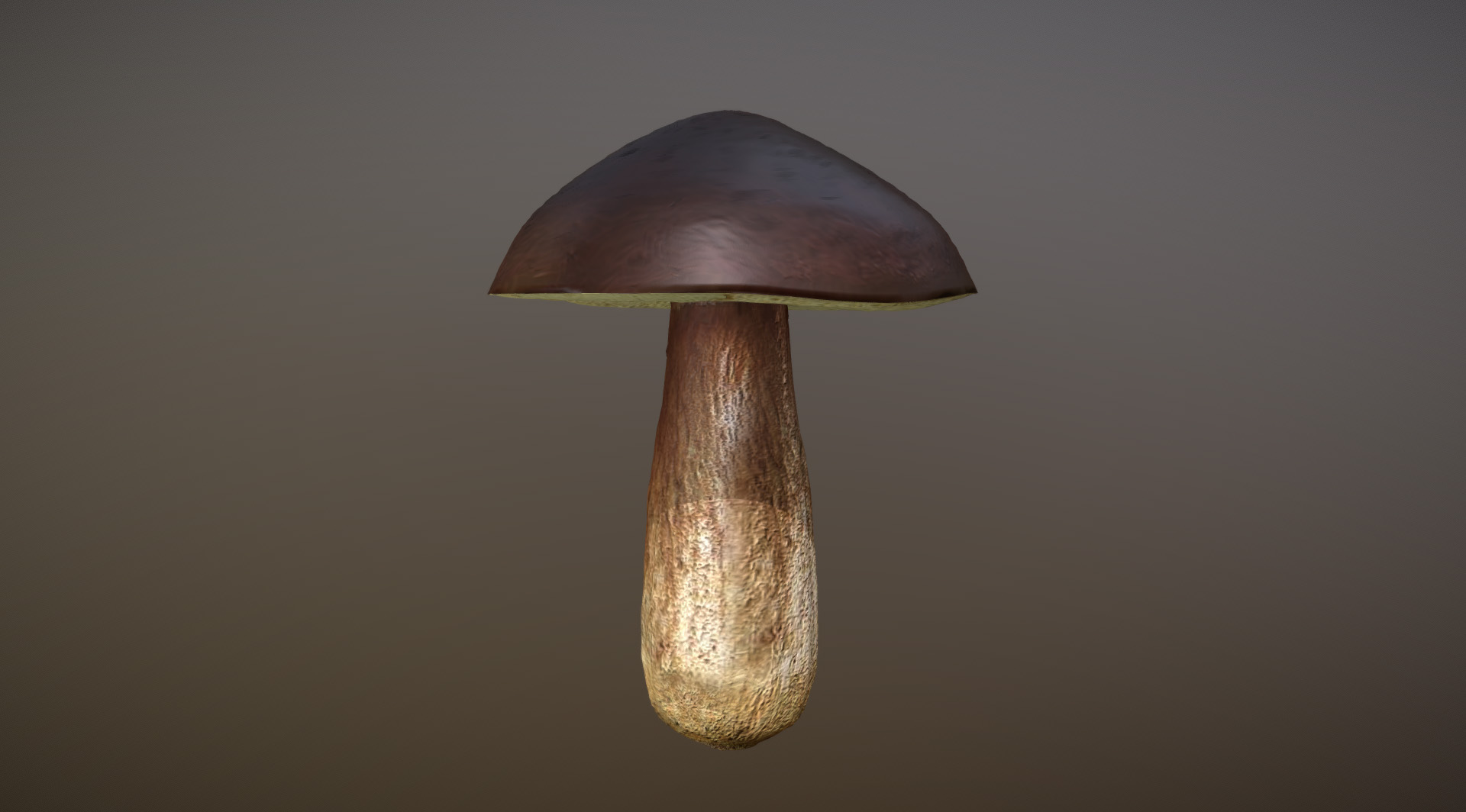 Model lesní houby